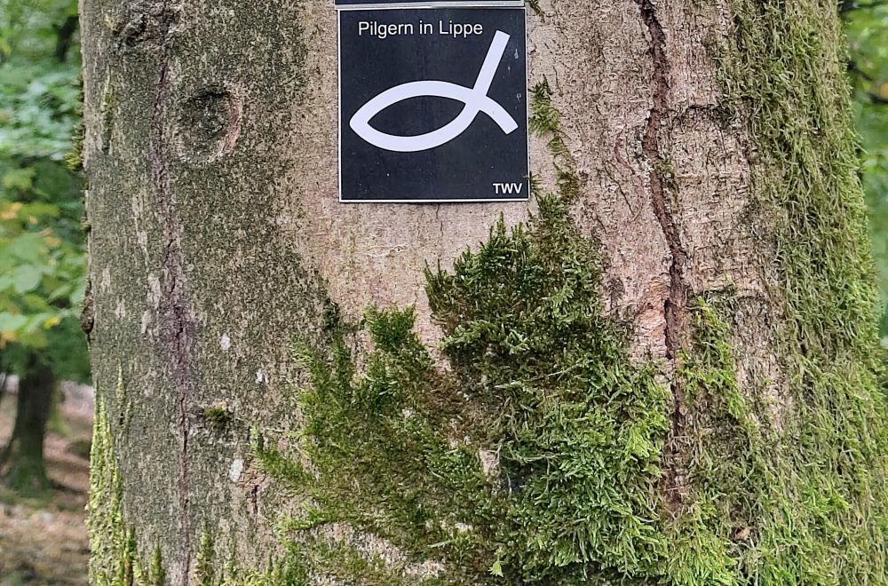 Pilgern – einfach mal so
